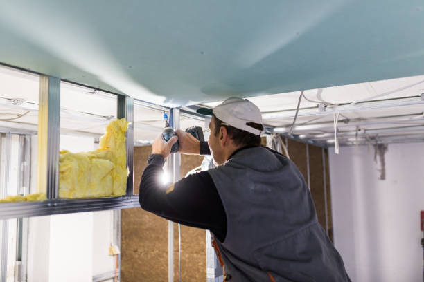 Best Spray Foam Insulation  in Perryville, MO