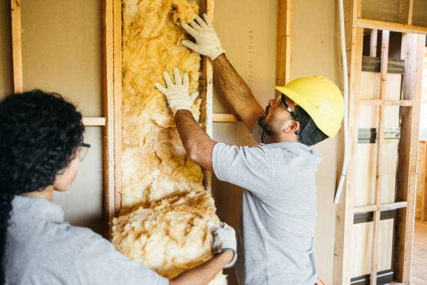 Best Insulation Repair Services  in Perryville, MO