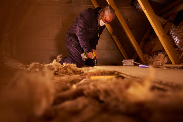 Best Home Insulation Services  in Perryville, MO