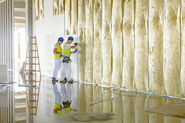 Best Best Insulation Companies  in Perryville, MO